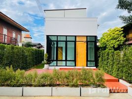 4 Bedroom House for sale in Mueang Chiang Mai, Chiang Mai, Chang Moi, Mueang Chiang Mai