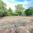  Земельный участок for sale in Koh Phangan, Сураттани, Koh Phangan, Koh Phangan