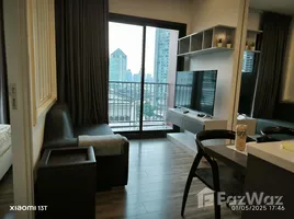 คอนโด 1 ห้องนอน ให้เช่า ในโครงการ วายน์ สุขุมวิท, พระโขนง