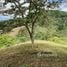  Land for sale in Costa Rica, Cartago, Cartago, Costa Rica