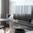 2 Bedroom Condo for rent at Knightsbridge Prime Sathorn, Thung Wat Don, Sathon, Bangkok, Thailand