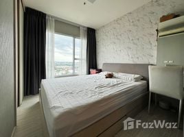 1 Schlafzimmer Wohnung zu verkaufen im Aspire Rattanatibet 2, Bang Kraso, Mueang Nonthaburi, Nonthaburi, Thailand