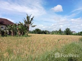  Land for sale in Bali, Tabanan, Tabanan, Bali