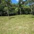  Land for sale in Perez Zeledon, San Jose, Perez Zeledon