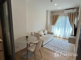 1 Bedroom Condo for rent at Phyll Phuket by Central Pattana, Wichit, Phuket Town, Phuket, Thailand