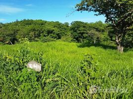 在Guanacaste出售的 土地, Santa Cruz, Guanacaste