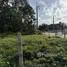  Terreno (Parcela) en venta en Si Sunthon, Phuket, Si Sunthon, Thalang, Phuket, Tailandia