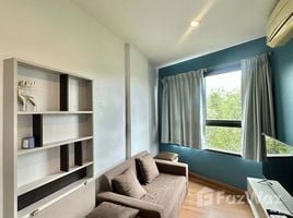 1 Bedroom Condo for rent at Zcape I, Choeng Thale, Thalang