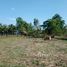  Land for sale in Prasat, Surin, Kantuat Ramuan, Prasat