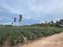  Land for sale in Prachuap Khiri Khan, Ko Lak, Mueang Prachuap Khiri Khan, Prachuap Khiri Khan