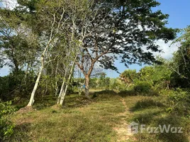  Terrain for sale in Bang Tao Beach, Choeng Thale, Choeng Thale