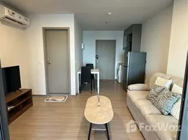 คอนโด 1 ห้องนอน ให้เช่า ในโครงการ แอสปาย สุขุมวิท-พระราม 4, พระโขนง, คลองเตย