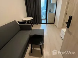 คอนโด 1 ห้องนอน ให้เช่า ในโครงการ นิว โนเบิล รัชดา - ลาดพร้าว, จันทรเกษม