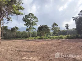 ขายที่ดิน ใน ตลิ่งงาม, สุราษฎร์ธานี, ตลิ่งงาม, เกาะสมุย, สุราษฎร์ธานี