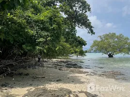ขายที่ดิน ใน ราไวย์, ภูเก็ต, ราไวย์, เมืองภูเก็ต, ภูเก็ต, ไทย