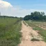  Land for sale in Doi Lo, Chiang Mai, Doi Lo, Doi Lo