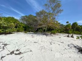 N/A Terrain a vendre à , Bay Islands Nice Beachfront Land Plot for Sale in Molton Bight