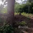  Terreno (Parcela) en venta en Santa Cruz, Guanacaste, Santa Cruz