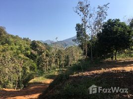  Land for sale in Nan, Lae, Thung Chang, Nan