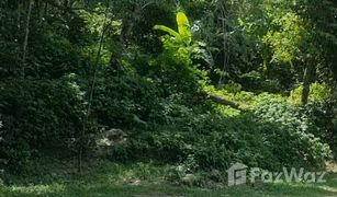 N/A Land for sale in Choeng Thale, Phuket 