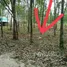  Land for sale in Chak Phong, Rayong, Chak Phong, Klaeng