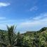  Земельный участок for sale in Koh Phangan, Сураттани, Koh Phangan, Koh Phangan