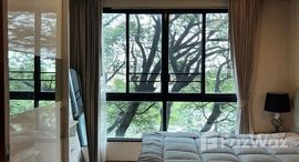 ยูนิตมือสองและให้เช่า