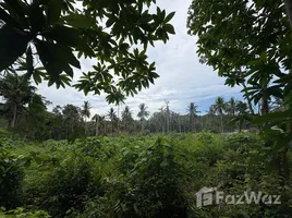 在FazWaz.cn出售的 土地, 波普托, 苏梅岛, 素叻, 泰国