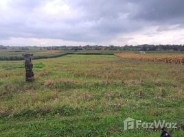  Grundstück zu verkaufen in Tabanan, Bali, Kerambitan