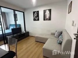 Studio Apartment for rent at Centrio, Wichit, Phuket Town, Phuket, Thailand