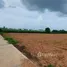  Land for sale in Hua Thale, Nakhon Ratchasima, Hua Thale, Mueang Nakhon Ratchasima, Nakhon Ratchasima