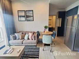 คอนโด 2 ห้องนอน ให้เช่า ในโครงการ เอ็กซ์ที เอกมัย, คลองตันเหนือ