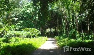 N/A Land for sale in Pa Khlok, Phuket 