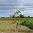 ขายที่ดิน ใน พัทยา, เมืองพัทยา, พัทยา