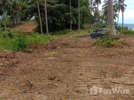  Grundstück zu verkaufen in Koh Samui, Surat Thani, Lipa Noi