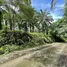  Land for sale in Pa Khlok, Phuket, Pa Khlok, Thalang