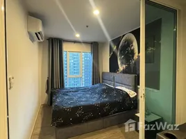 1 Bedroom Condo for rent at Regent Home Bangna, Bang Na, Bang Na, Bangkok, Thailand