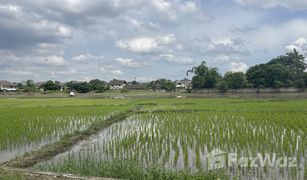 3 Schlafzimmern Haus zu verkaufen in Nong Khwai, Chiang Mai 