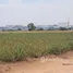  Land for sale in Map Yang Phon, Rayong, Map Yang Phon, Pluak Daeng