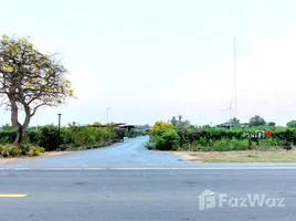  Grundstück zu verkaufen in Nong Ya Sai, Suphan Buri, Nong Pho