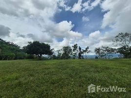  Terreno (Parcela) en venta en Costa Rica, Pérez Zeledón, San José, Costa Rica