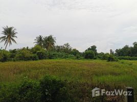  Grundstück zu verkaufen in Ban Pong, Ratchaburi, Nakhon Chum, Ban Pong, Ratchaburi
