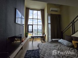 คอนโด 1 ห้องนอน ให้เช่า ในโครงการ โมดิซ สุขุมวิท 50, พระโขนง