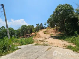 ขายที่ดิน ใน กะทู้, ภูเก็ต, กะทู้, กะทู้