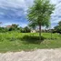  Land for sale in Rawai, Phuket, Rawai, Phuket Town