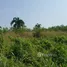  Land for sale in Pattaya, Pong, Pattaya