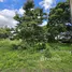  Land for sale in Nong Faek, Chiang Mai, Nong Faek