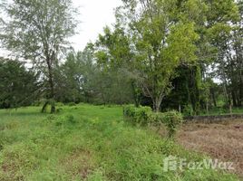 N/A Land for sale in Bang Muang, Phangnga Land near to the Beach for Sale in Takua Pa