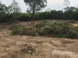 ขายที่ดิน ใน เกาะสมุย, สุราษฎร์ธานี, ตลิ่งงาม, เกาะสมุย
