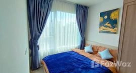 Plum Condo Sukhumvit 62 在售单元